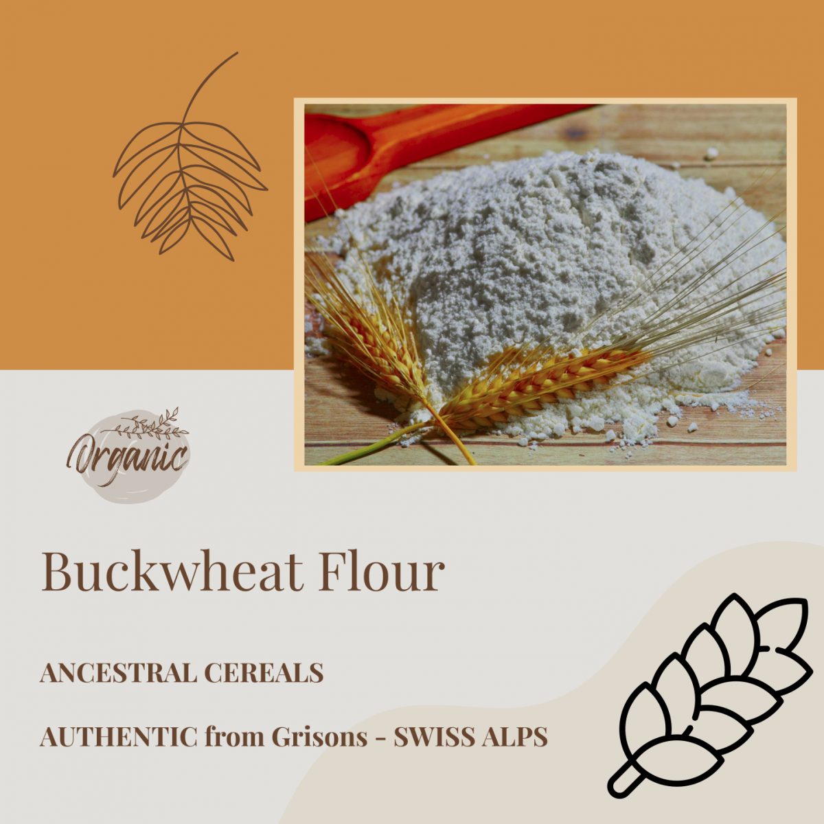 Buckwheat – Flour