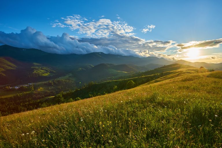 Swiss Alps in summer